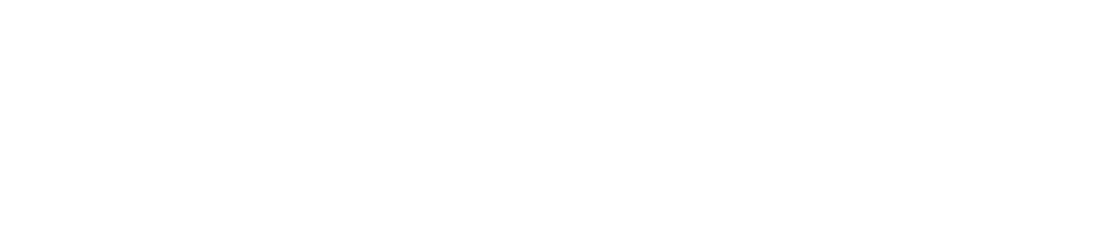 Diamond Preferred Insurance Services